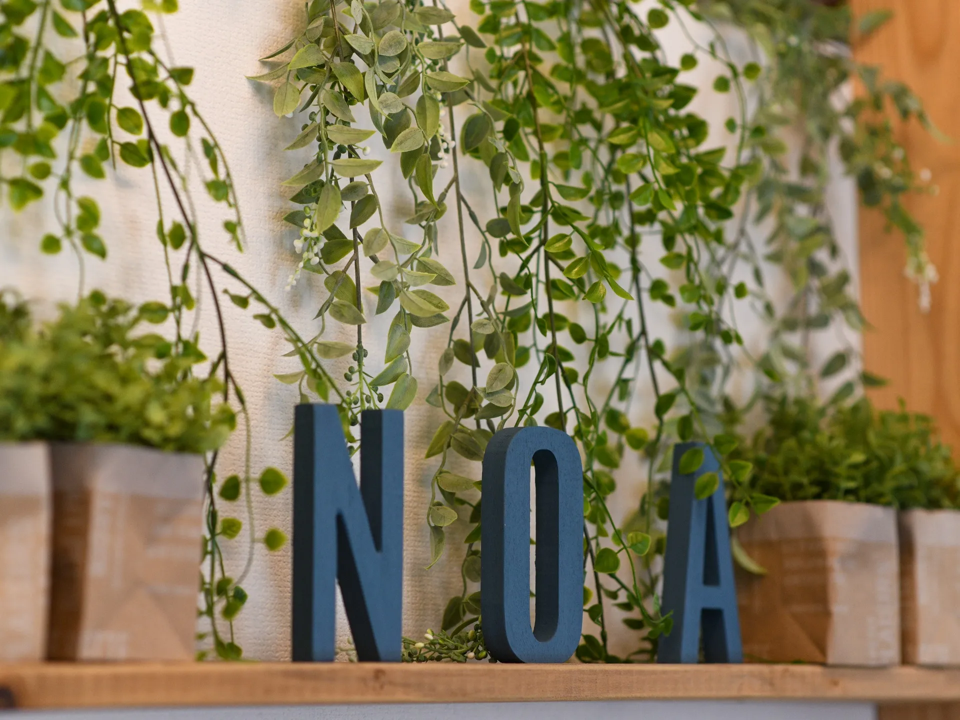 （前橋美容鍼）鍼灸サロンNOA今月で２周年突入